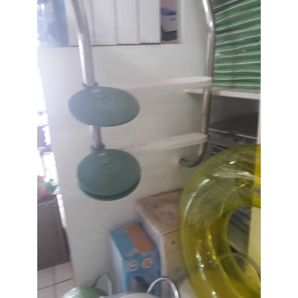 Salva Sapo e outros animais piscina Viva Vida